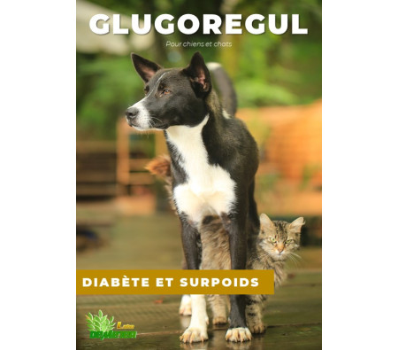 Médicament vétérinaire bio pour chien diabétique et en surpoids - Glucoregul Labo Demeter