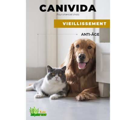 Produit naturel anti age pour vieux chien chat