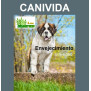 medicina natural para perros y gatos viejos