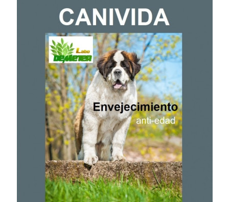 medicina natural para perros y gatos viejos