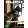 Natural treatment for cats with heart disease, heart failure - Coraboost