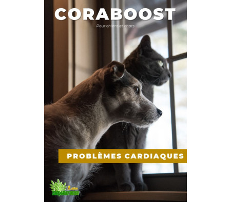 Traitement naturel pour le chat cardiaque, insuffisance cardiaque - Coraboost