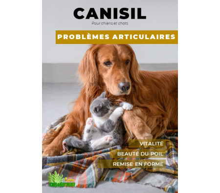 Produit naturel pour les articulations, les boiteries et l'arthrose du chien et du chat chat