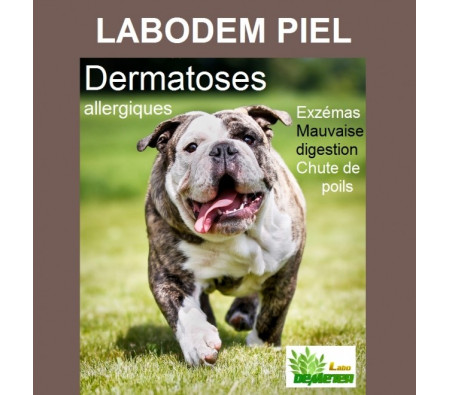 allergies détoxiquant désensibilisant chien chat