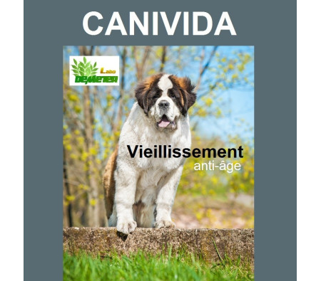 produit pour le vieillissement du chien et chat