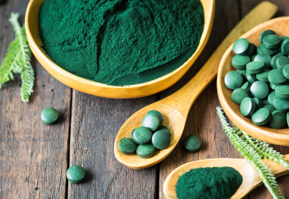 Benefici della Spirulina: quali benefici per gli animali?